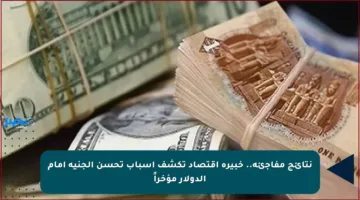 نتائج مفاجئة.. خبيرة اقتصاد تكشف أسباب تحسن الجنيه أمام الدولار مؤخراً